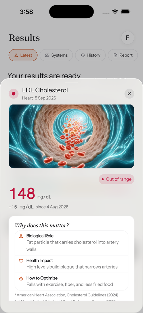 The patient app showing one result explained in plain words.